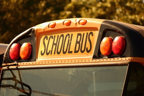 School,Bus